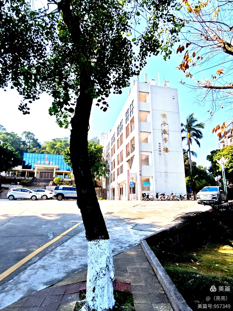 12. 18 )福州仓山